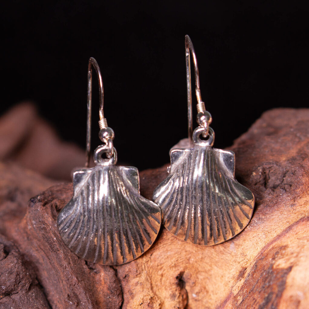 Cornish Tin Scallop Shell Earrings